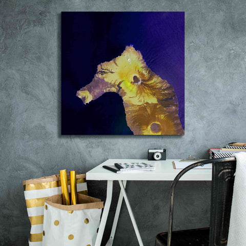 Image of 'Earth as Art: Painted Horse,' Canvas Wall Art,26 x 26