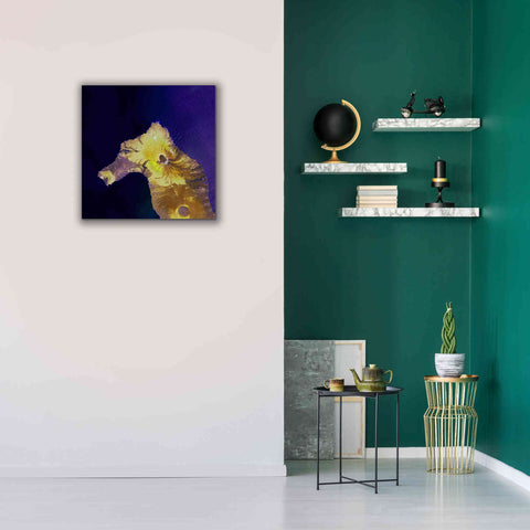 Image of 'Earth as Art: Painted Horse,' Canvas Wall Art,26 x 26