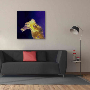 'Earth as Art: Painted Horse,' Canvas Wall Art,37 x 37