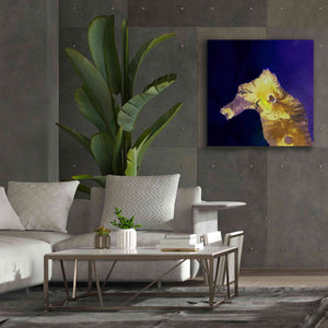'Earth as Art: Painted Horse,' Canvas Wall Art,37 x 37