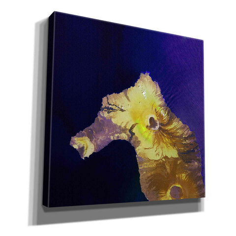 Image of 'Earth as Art: Painted Horse,' Canvas Wall Art,12x12x1.1x0,18x18x1.1x0,26x26x1.74x0,37x37x1.74x0
