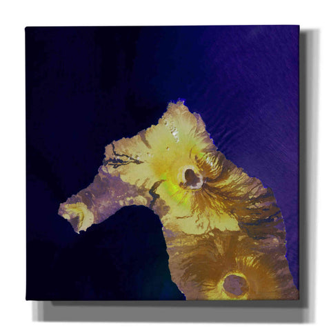 Image of 'Earth as Art: Painted Horse,' Canvas Wall Art,12x12x1.1x0,18x18x1.1x0,26x26x1.74x0,37x37x1.74x0