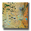 'Earth as Art: Parallel Dunes,' Canvas Wall Art,12x12x1.1x0,18x18x1.1x0,26x26x1.74x0,37x37x1.74x0