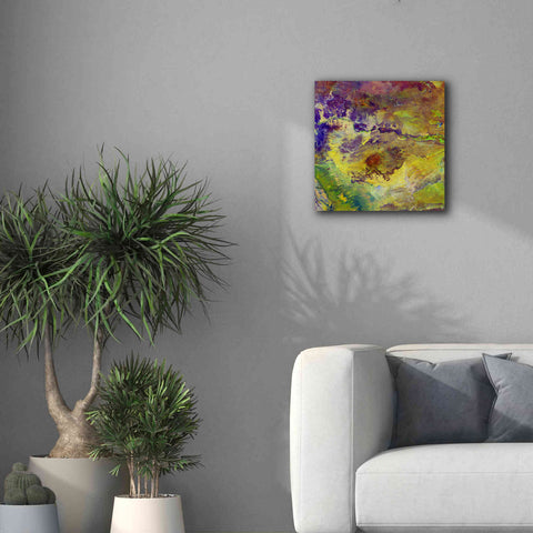 Image of 'Earth as Art: Sabotage,' Canvas Wall Art,18 x 18