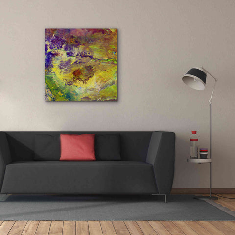 Image of 'Earth as Art: Sabotage,' Canvas Wall Art,37 x 37