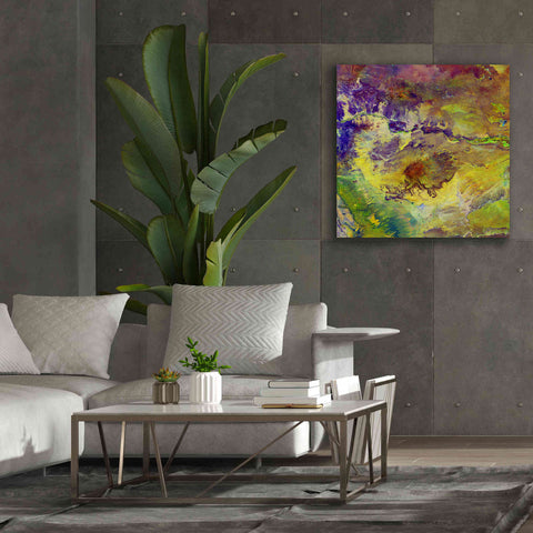 Image of 'Earth as Art: Sabotage,' Canvas Wall Art,37 x 37