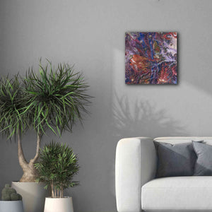 'Earth as Art: Tapestry,' Canvas Wall Art,18 x 18