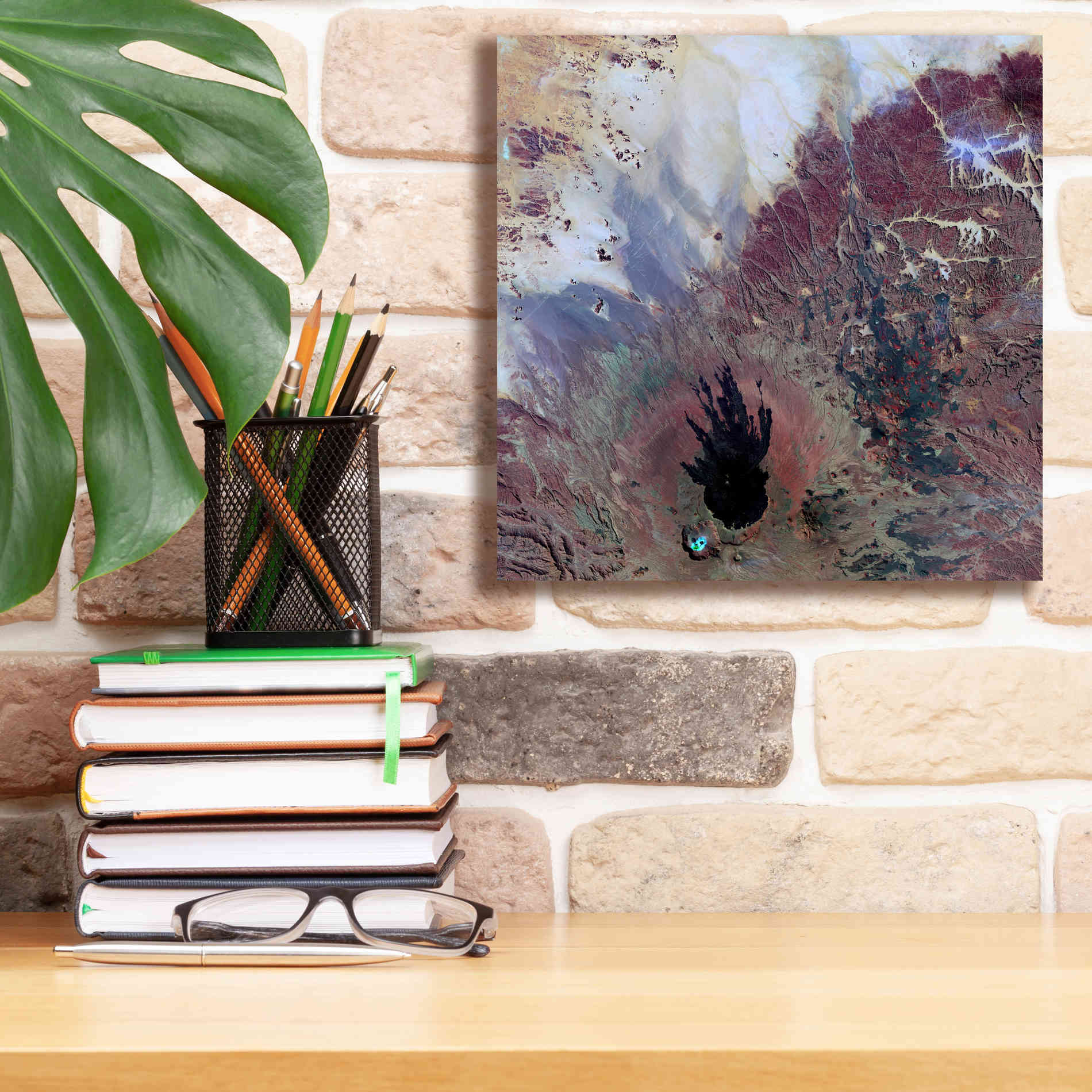 'Earth as Art: The Watcher,' Canvas Wall Art,12 x 12