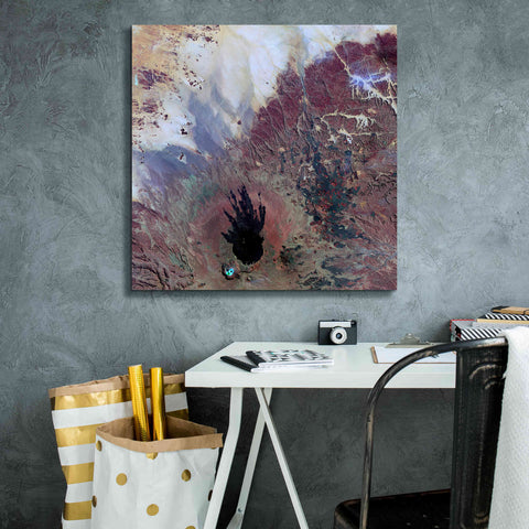 Image of 'Earth as Art: The Watcher,' Canvas Wall Art,26 x 26