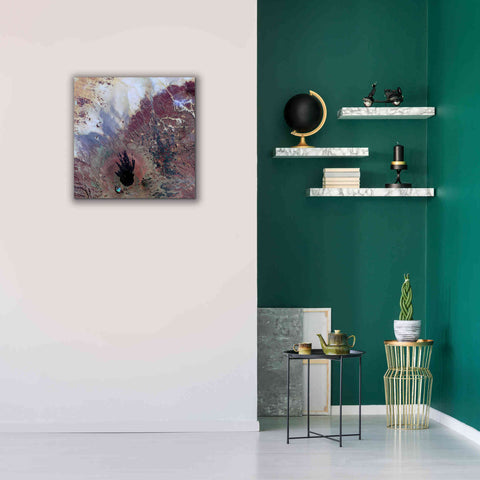 Image of 'Earth as Art: The Watcher,' Canvas Wall Art,26 x 26