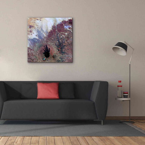 Image of 'Earth as Art: The Watcher,' Canvas Wall Art,37 x 37