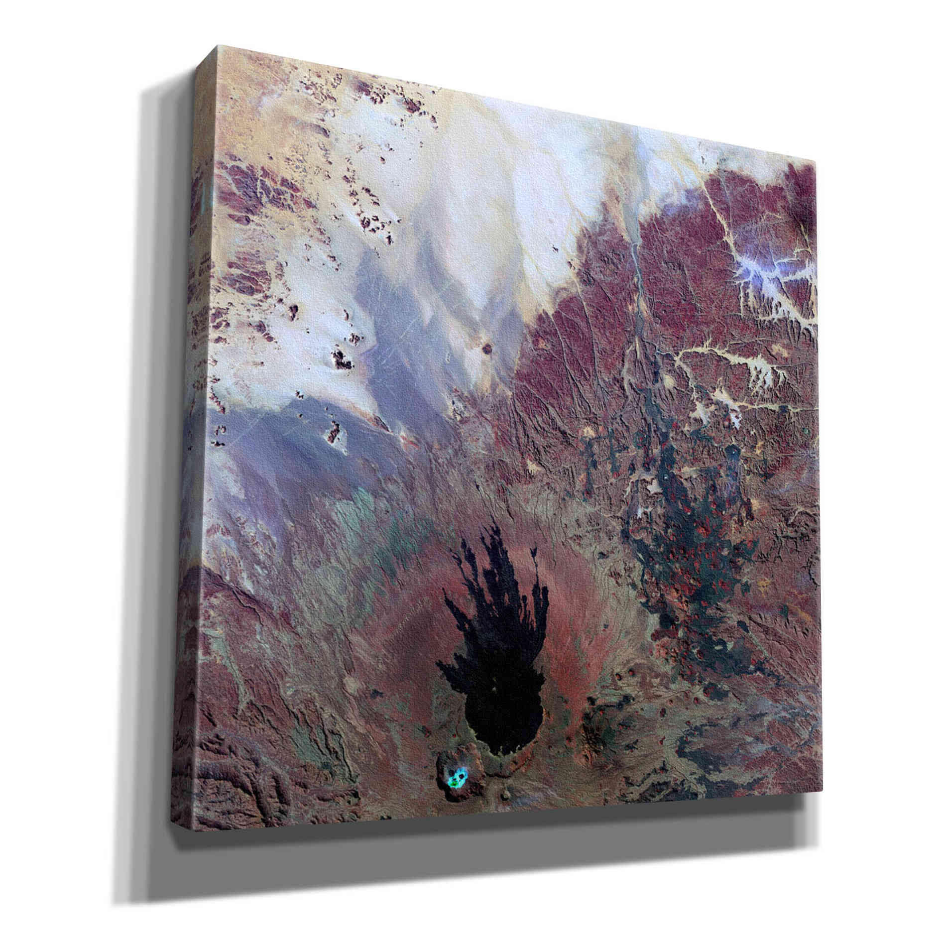 'Earth as Art: The Watcher,' Canvas Wall Art,12x12x1.1x0,18x18x1.1x0,26x26x1.74x0,37x37x1.74x0