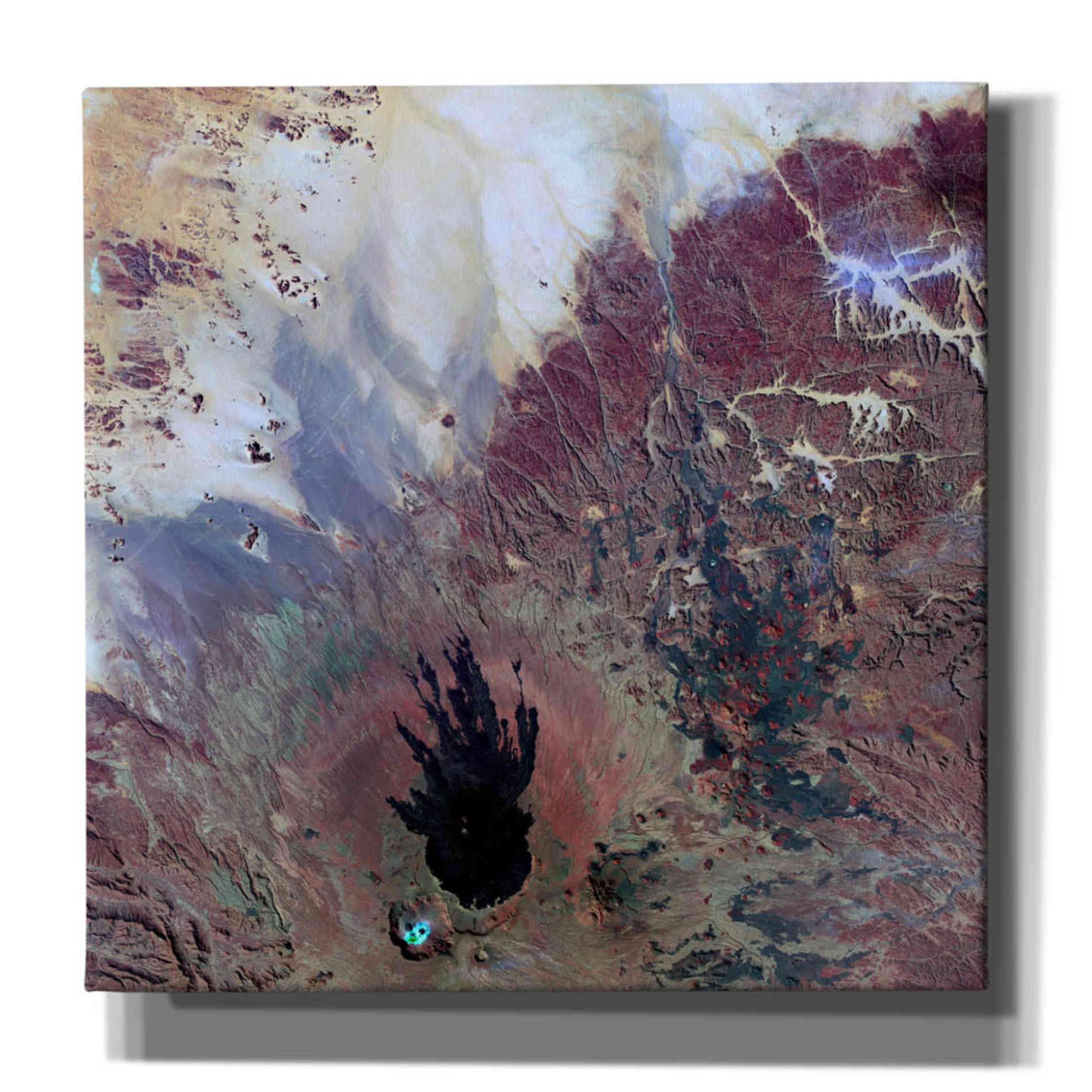 'Earth as Art: The Watcher,' Canvas Wall Art,12x12x1.1x0,18x18x1.1x0,26x26x1.74x0,37x37x1.74x0