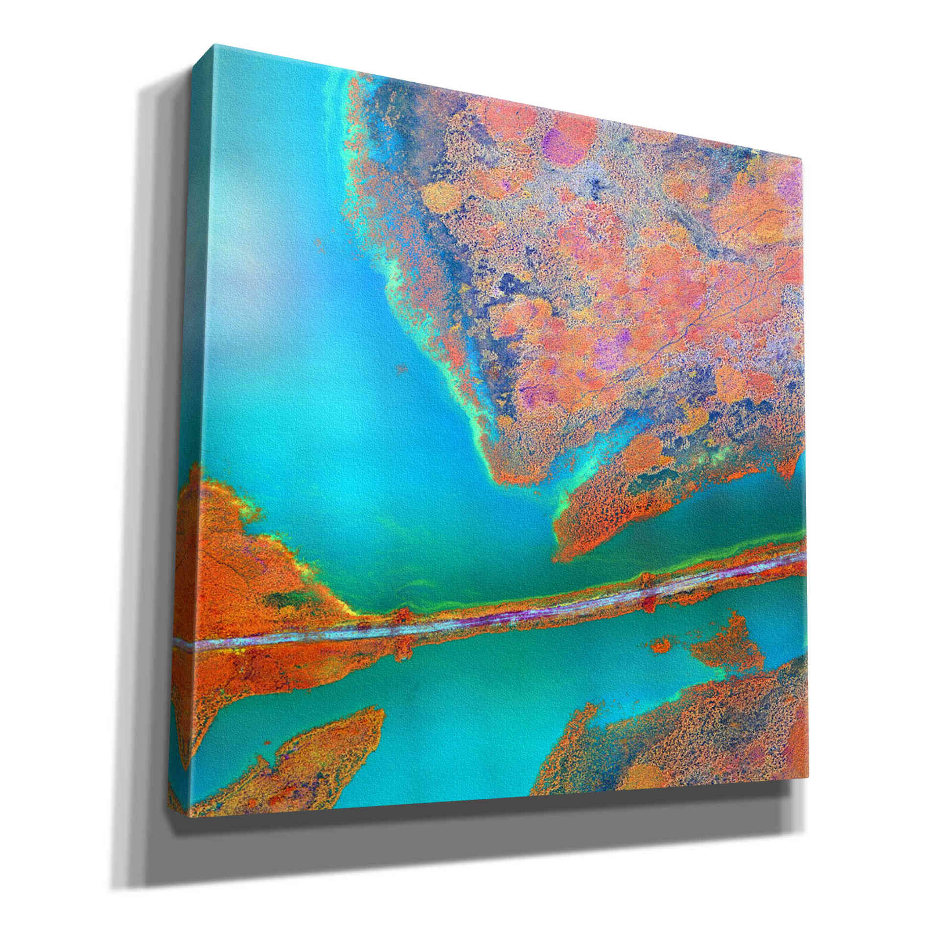 'Earth as Art: A Study in Algae,' Canvas Wall Art,12x12x1.1x0,18x18x1.1x0,26x26x1.74x0,37x37x1.74x0