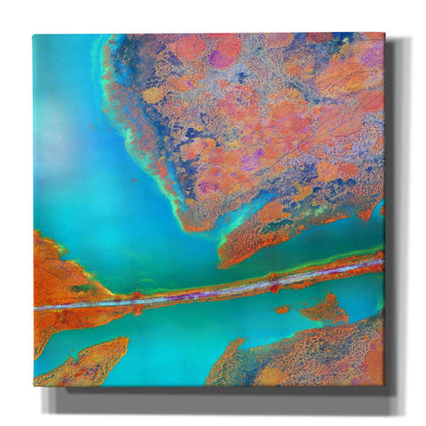 Image of 'Earth as Art: A Study in Algae,' Canvas Wall Art,12x12x1.1x0,18x18x1.1x0,26x26x1.74x0,37x37x1.74x0