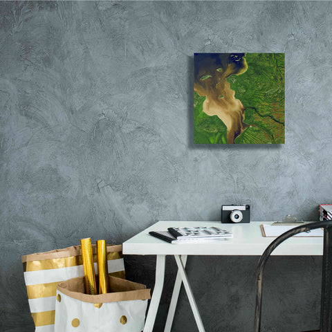Image of 'Earth as Art: Facing the Tide,' Canvas Wall Art,12 x 12