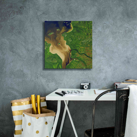 Image of 'Earth as Art: Facing the Tide,' Canvas Wall Art,18 x 18