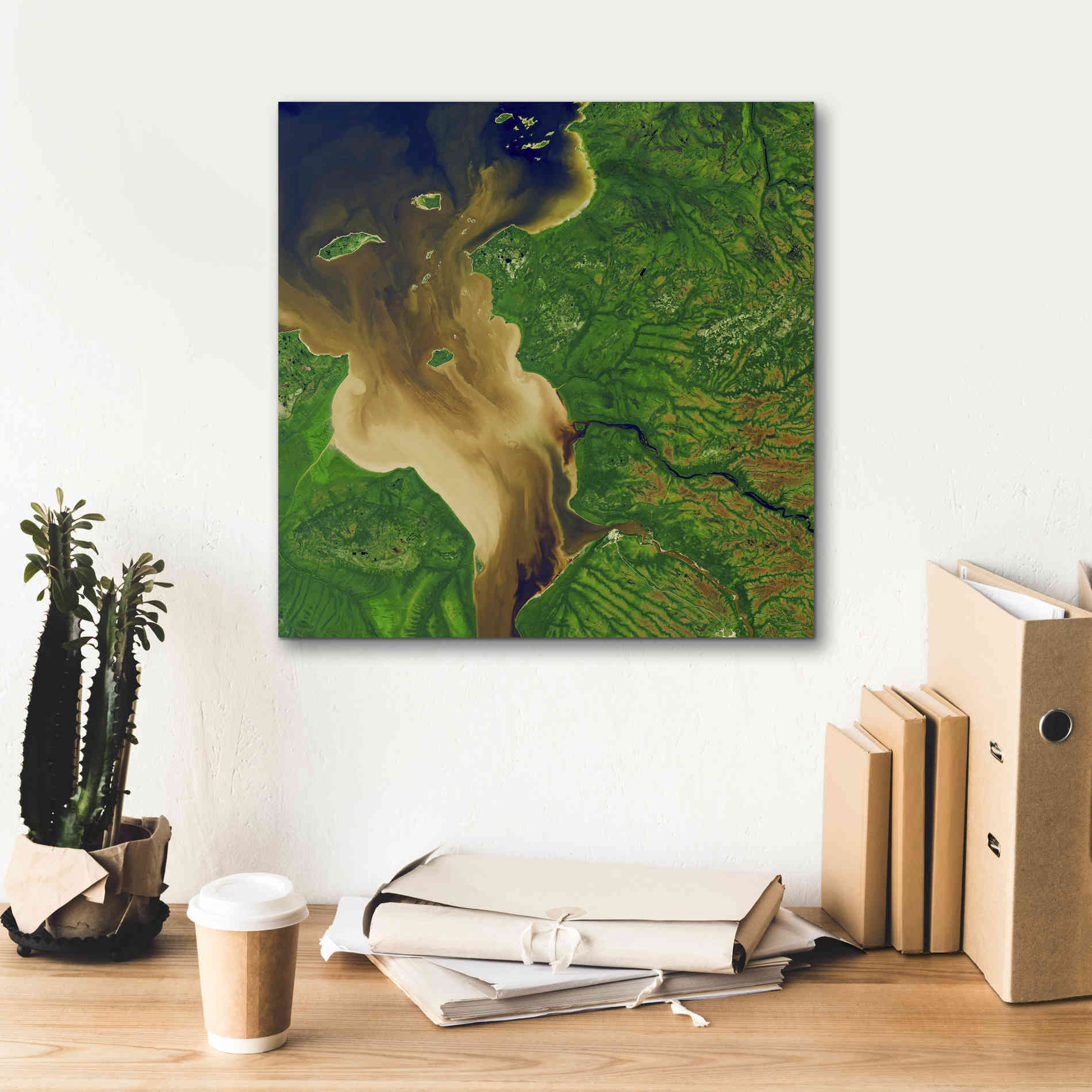 'Earth as Art: Facing the Tide,' Canvas Wall Art,18 x 18