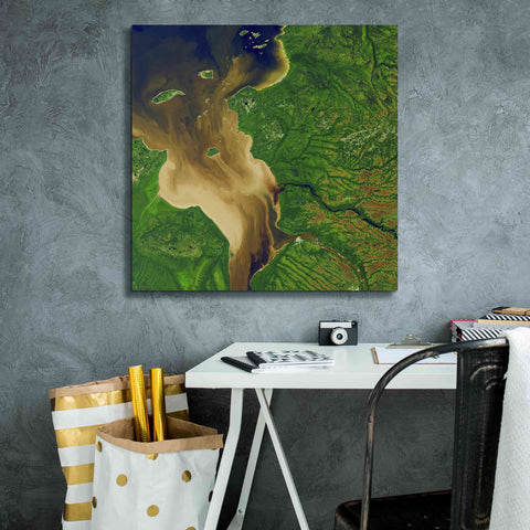 Image of 'Earth as Art: Facing the Tide,' Canvas Wall Art,26 x 26
