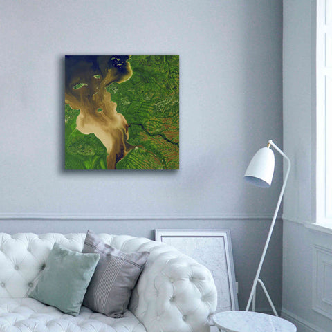 Image of 'Earth as Art: Facing the Tide,' Canvas Wall Art,37 x 37