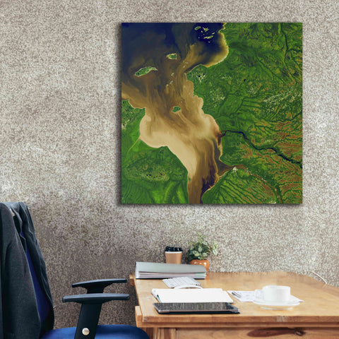 Image of 'Earth as Art: Facing the Tide,' Canvas Wall Art,37 x 37