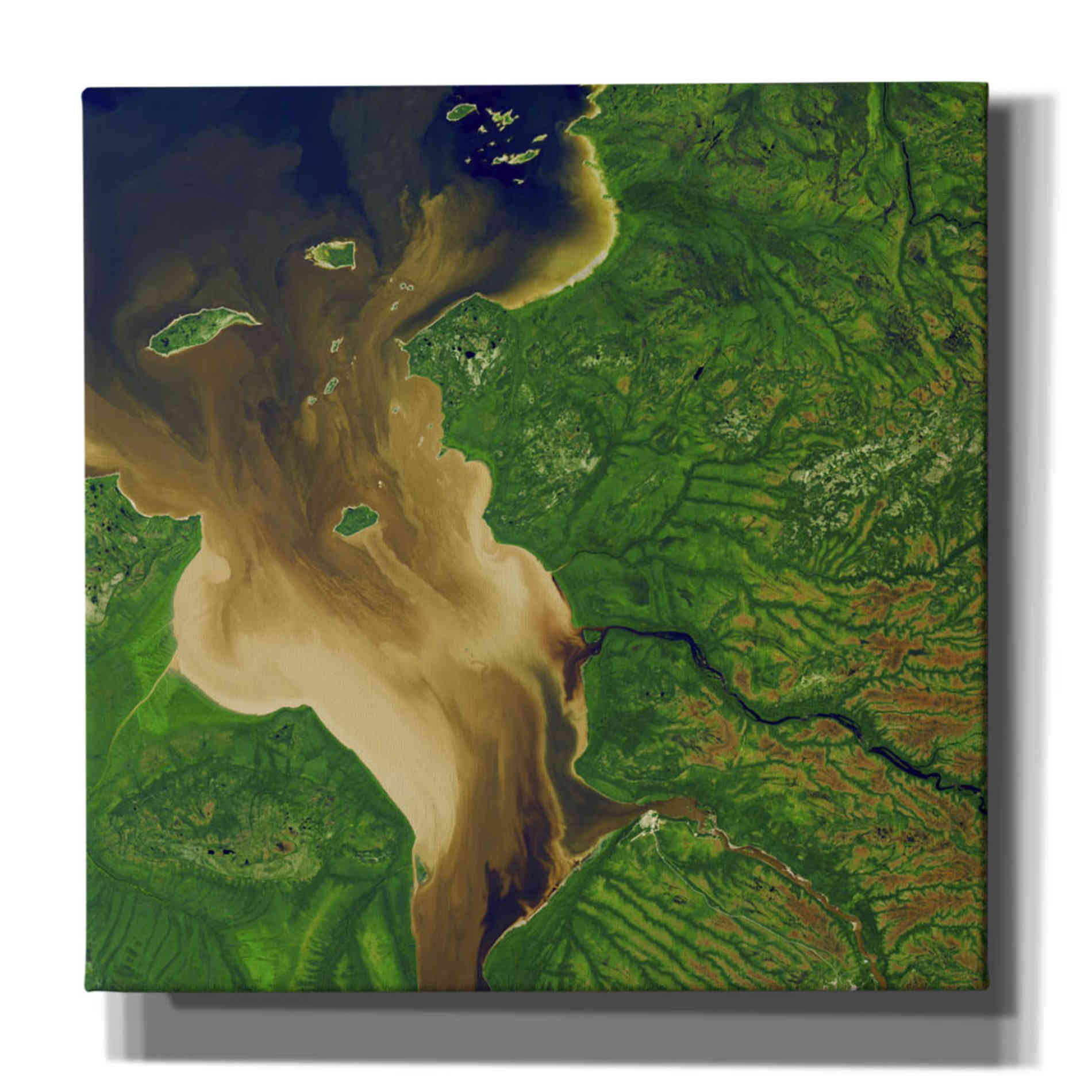 'Earth as Art: Facing the Tide,' Canvas Wall Art,12x12x1.1x0,18x18x1.1x0,26x26x1.74x0,37x37x1.74x0