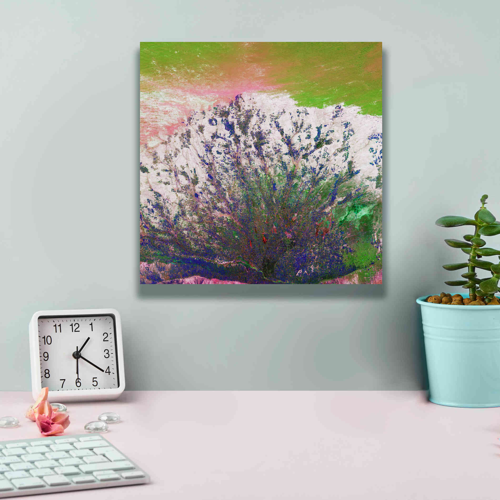 'Earth as Art: Fanned Out,' Canvas Wall Art,12 x 12