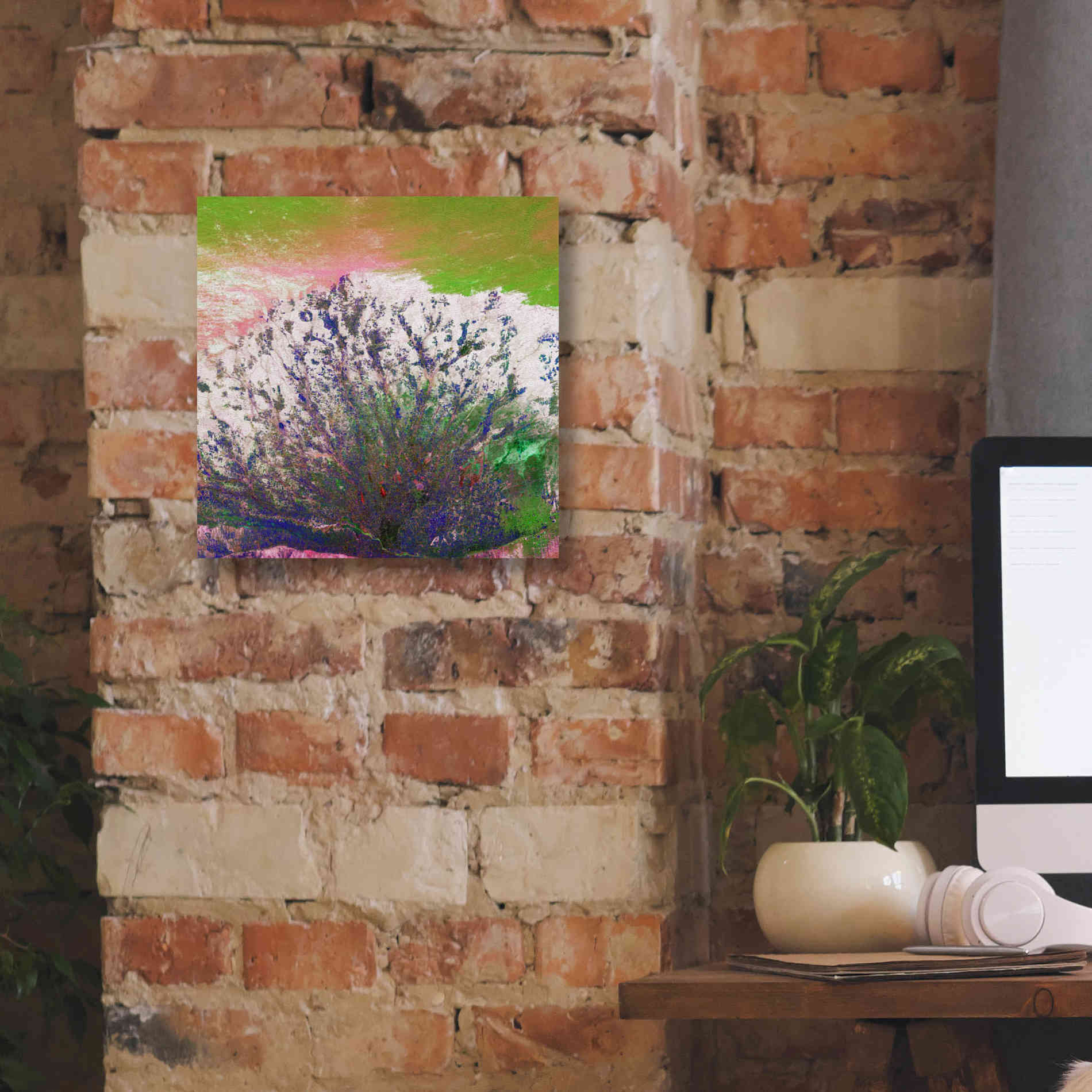 'Earth as Art: Fanned Out,' Canvas Wall Art,12 x 12