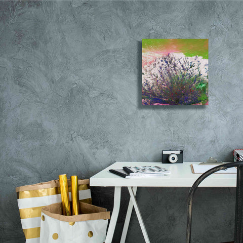Image of 'Earth as Art: Fanned Out,' Canvas Wall Art,12 x 12