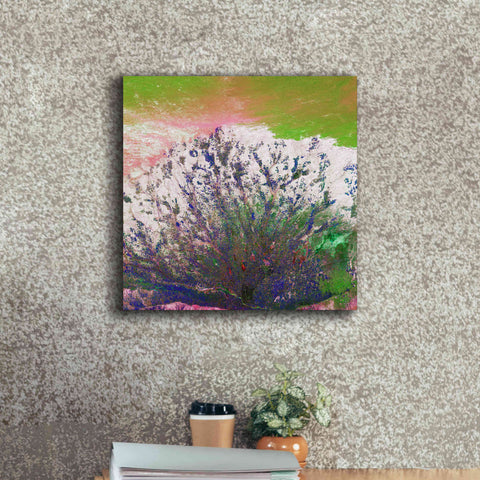 Image of 'Earth as Art: Fanned Out,' Canvas Wall Art,18 x 18