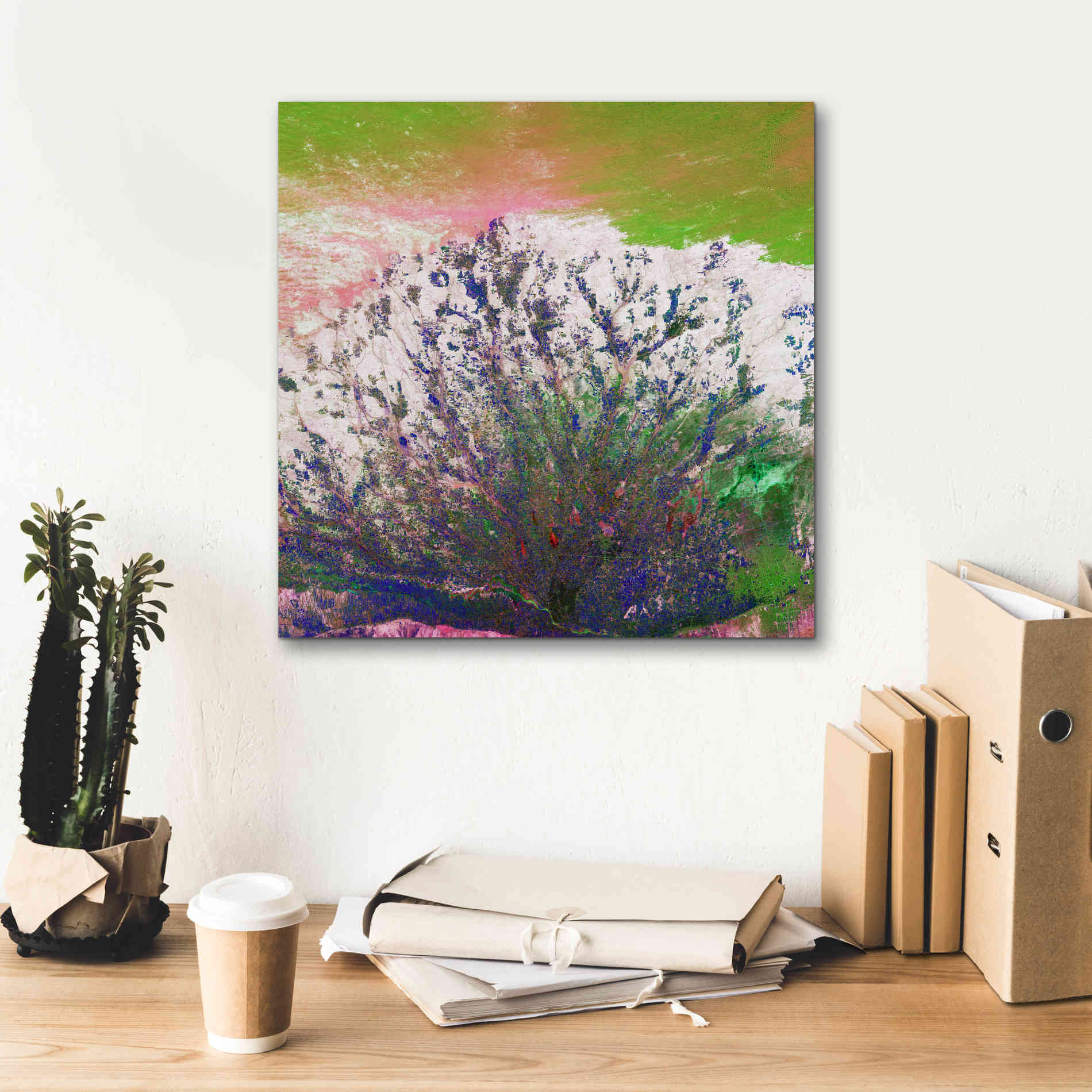 'Earth as Art: Fanned Out,' Canvas Wall Art,18 x 18