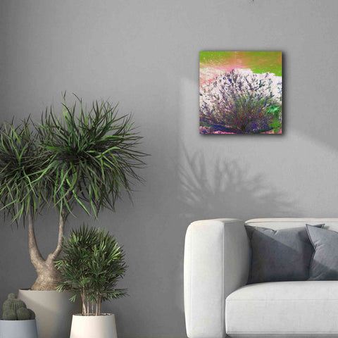Image of 'Earth as Art: Fanned Out,' Canvas Wall Art,18 x 18