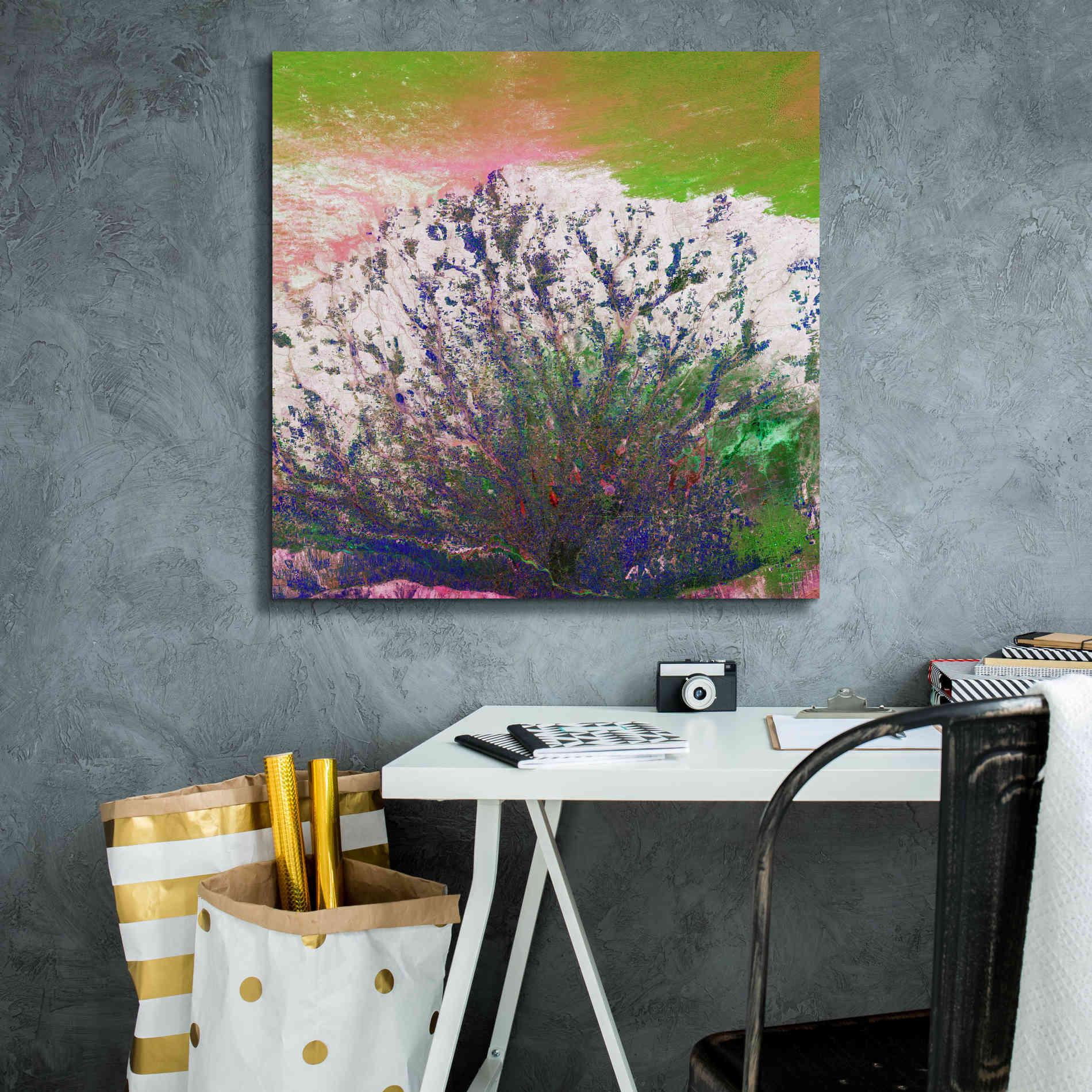 'Earth as Art: Fanned Out,' Canvas Wall Art,26 x 26