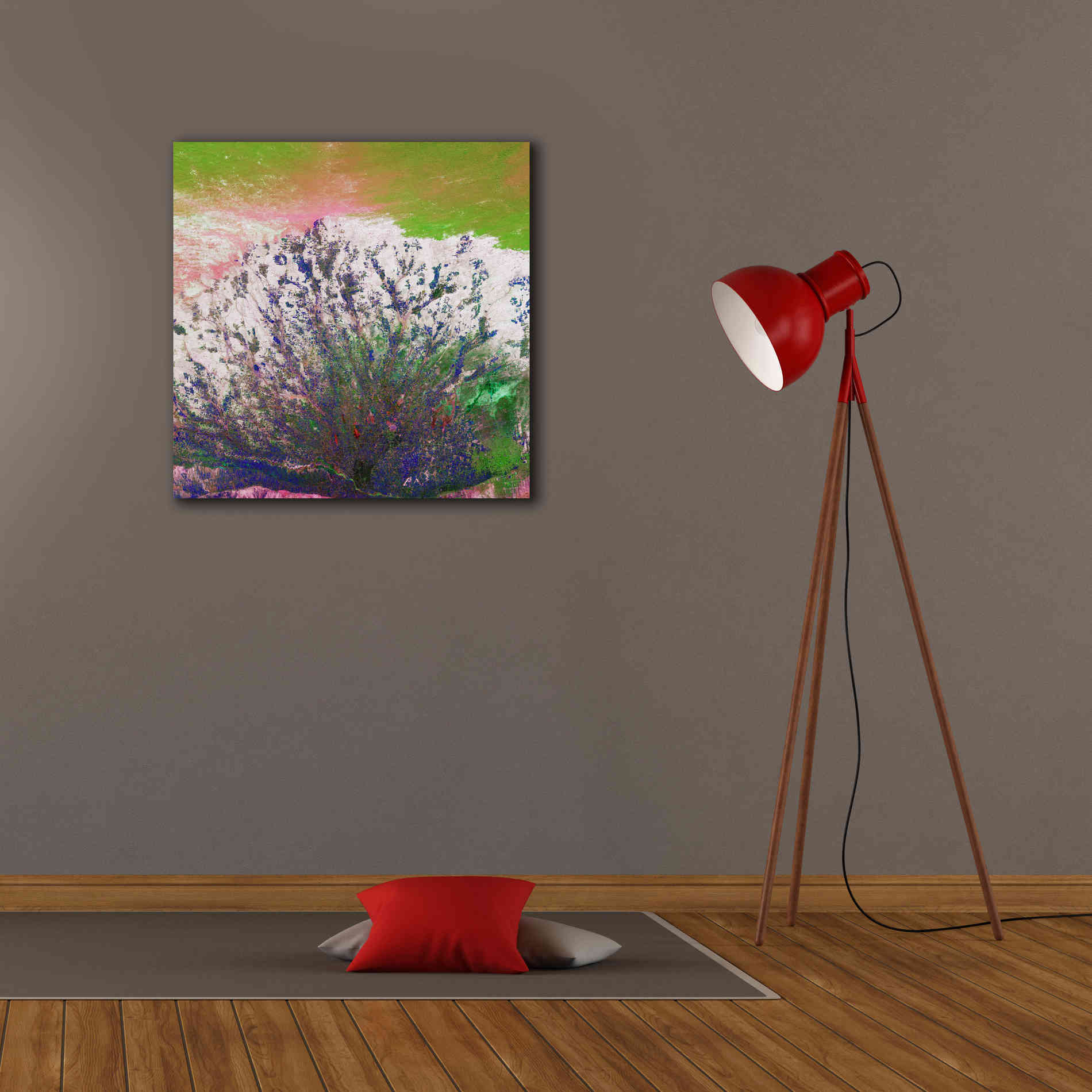 'Earth as Art: Fanned Out,' Canvas Wall Art,26 x 26