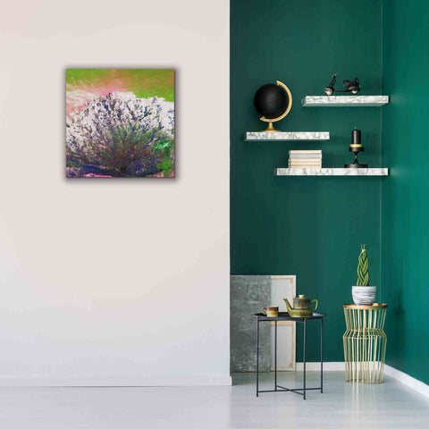 Image of 'Earth as Art: Fanned Out,' Canvas Wall Art,26 x 26