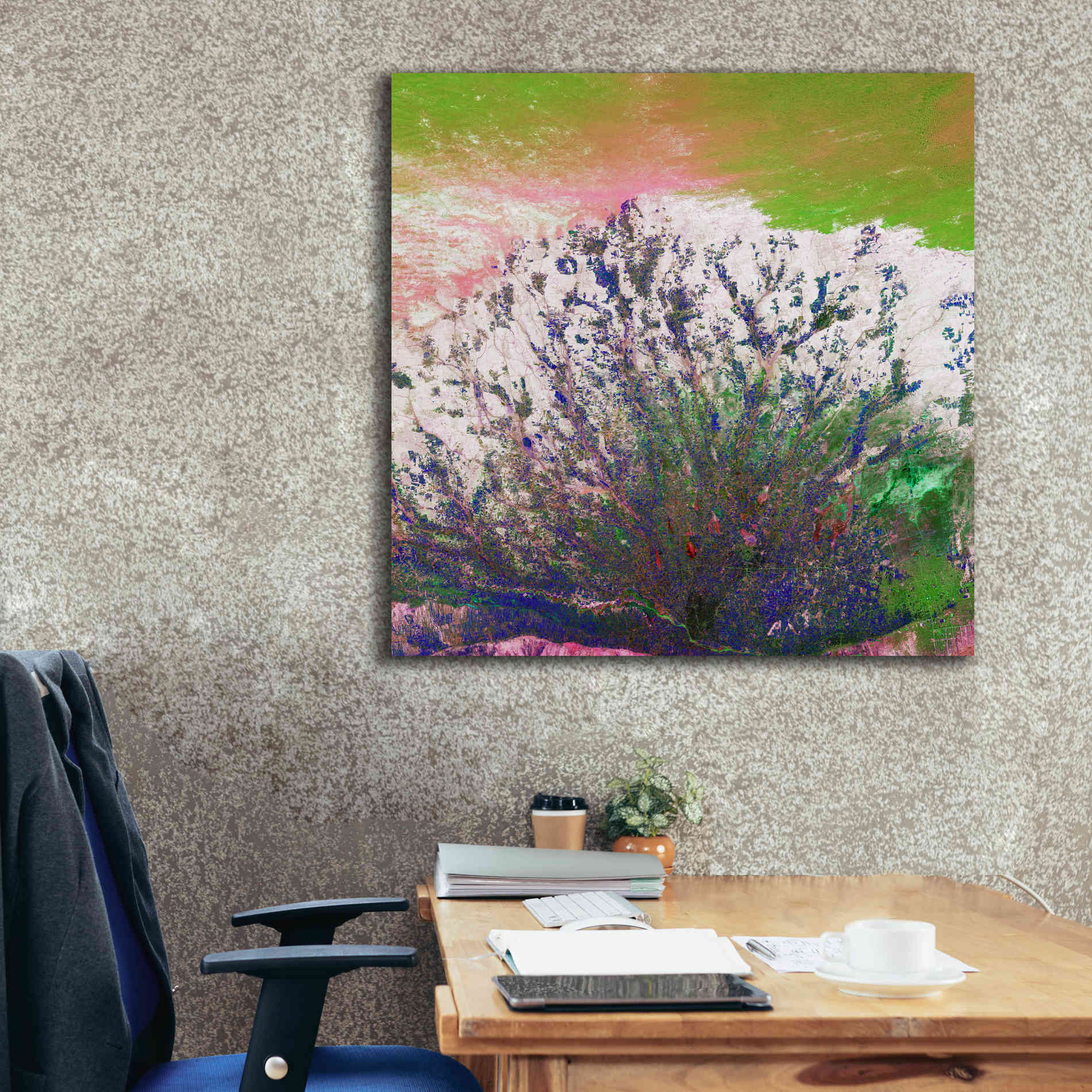 'Earth as Art: Fanned Out,' Canvas Wall Art,37 x 37