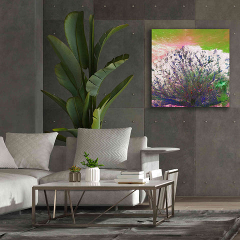 Image of 'Earth as Art: Fanned Out,' Canvas Wall Art,37 x 37