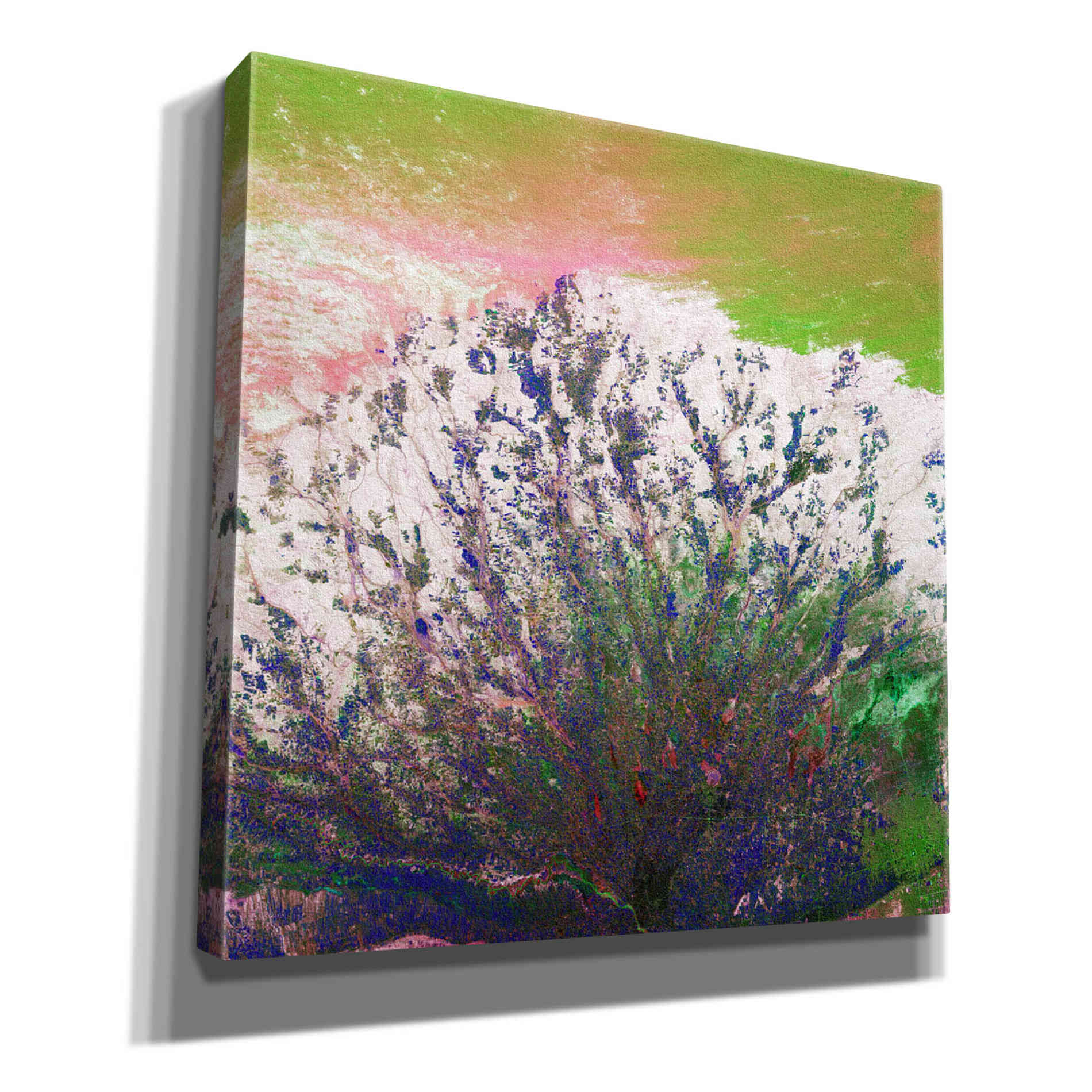 'Earth as Art: Fanned Out,' Canvas Wall Art,12x12x1.1x0,18x18x1.1x0,26x26x1.74x0,37x37x1.74x0