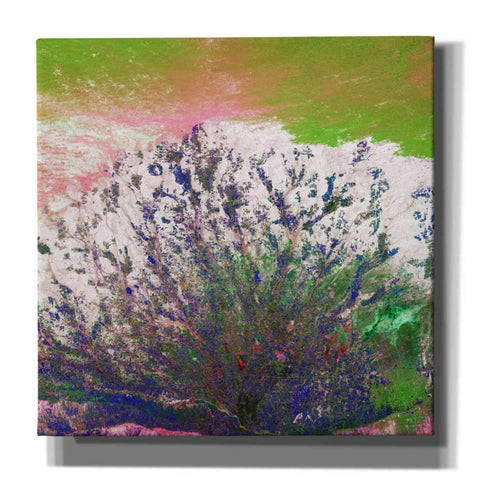 Image of 'Earth as Art: Fanned Out,' Canvas Wall Art,12x12x1.1x0,18x18x1.1x0,26x26x1.74x0,37x37x1.74x0