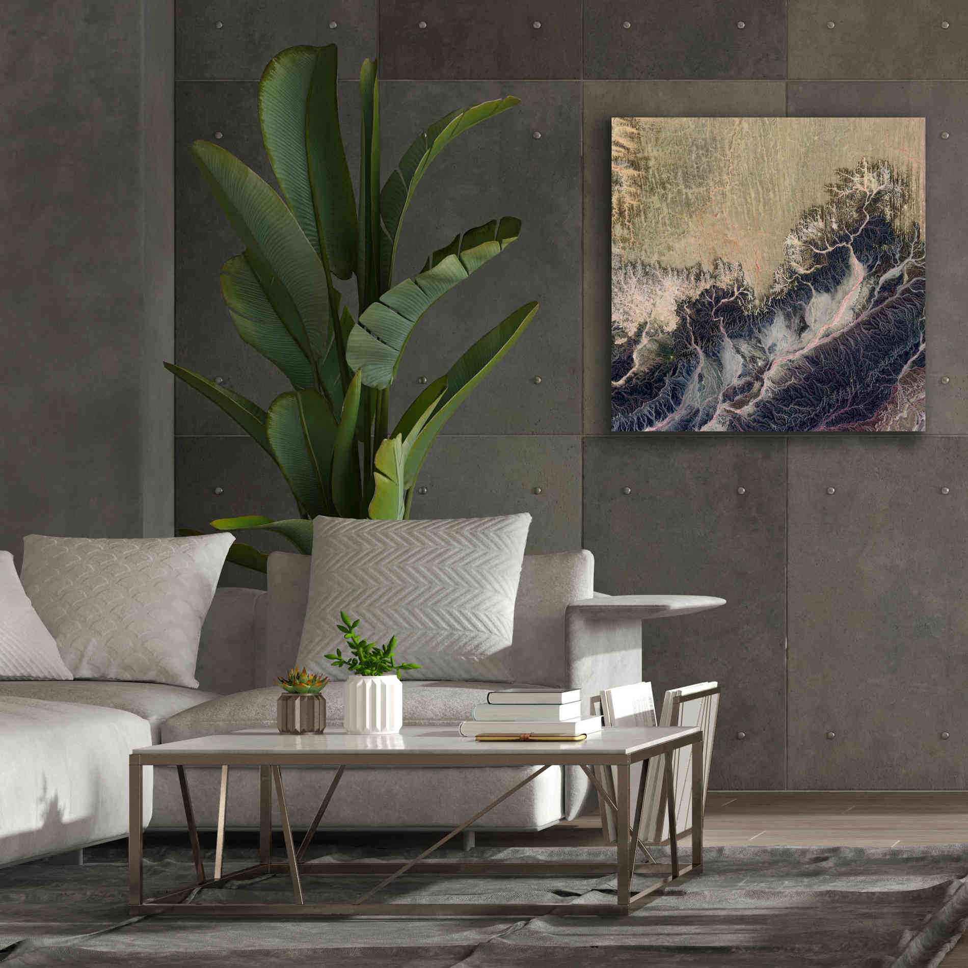 'Earth as Art: Irritated,' Canvas Wall Art,37 x 37