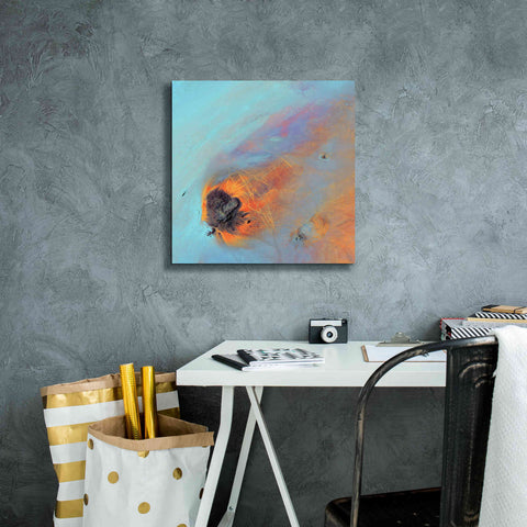 Image of 'Earth as Art: Re-Entry,' Canvas Wall Art,18 x 18