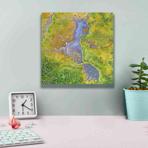 Image of 'Earth as Art: Watching Wetlands,' Canvas Wall Art,12 x 12