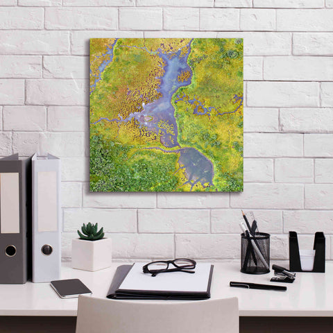 Image of 'Earth as Art: Watching Wetlands,' Canvas Wall Art,18 x 18