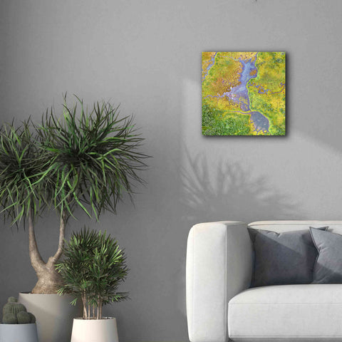 Image of 'Earth as Art: Watching Wetlands,' Canvas Wall Art,18 x 18
