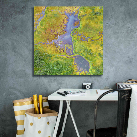 Image of 'Earth as Art: Watching Wetlands,' Canvas Wall Art,26 x 26
