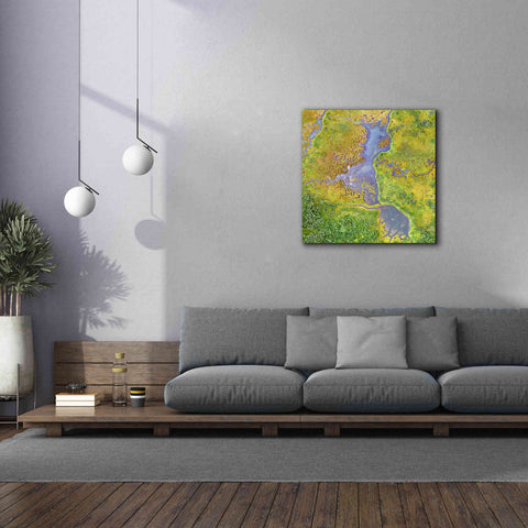Image of 'Earth as Art: Watching Wetlands,' Canvas Wall Art,37 x 37