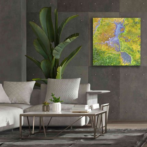 Image of 'Earth as Art: Watching Wetlands,' Canvas Wall Art,37 x 37