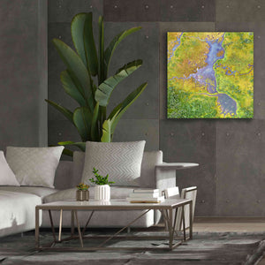 'Earth as Art: Watching Wetlands,' Canvas Wall Art,37 x 37