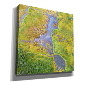 'Earth as Art: Watching Wetlands,' Canvas Wall Art,12x12x1.1x0,18x18x1.1x0,26x26x1.74x0,37x37x1.74x0