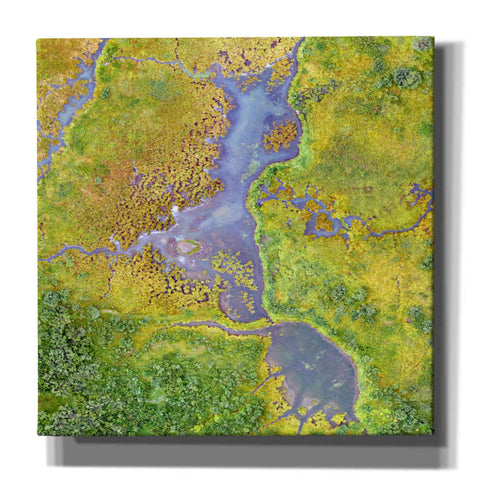 Image of 'Earth as Art: Watching Wetlands,' Canvas Wall Art,12x12x1.1x0,18x18x1.1x0,26x26x1.74x0,37x37x1.74x0